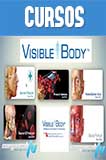 AIO Visible Body Anatomía del cuerpo humano 3D 2014