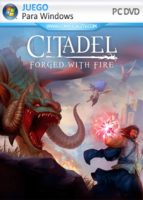 Citadel Forged with Fire (2019) PC Full Español